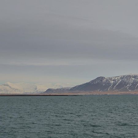 Floki'S Apartment Downtown. Reikiavik Exterior foto
